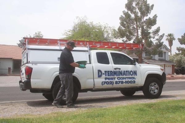 D-Termination Pest Control
