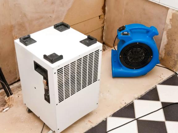 Weber Water Damage