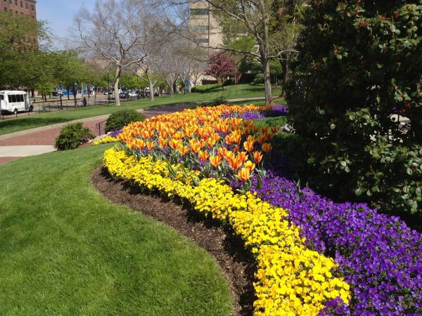 Chapel Valley Landscape Company