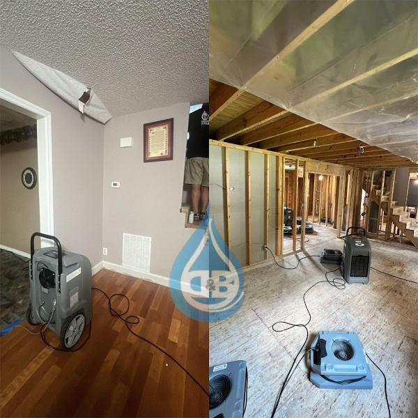 D&B Restoration Services