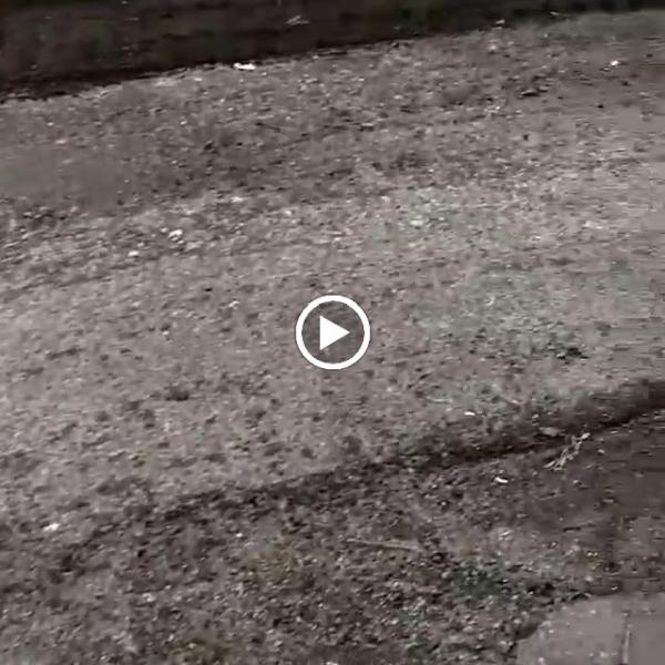 All Shore Paving Corporation
