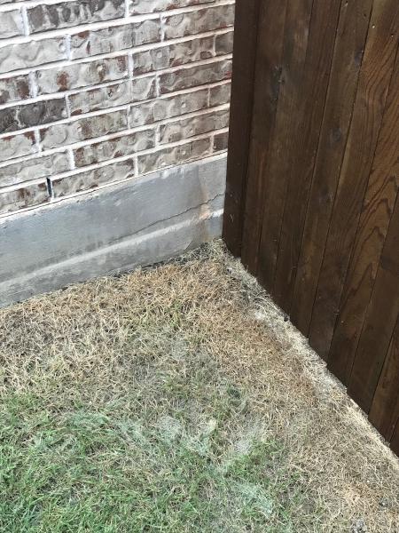 Curb Appeal Fence Company Dallas