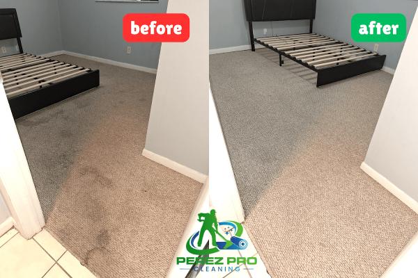 Perez Professional Cleaning Services