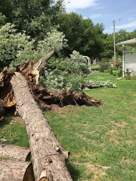 Gary's Tree Services