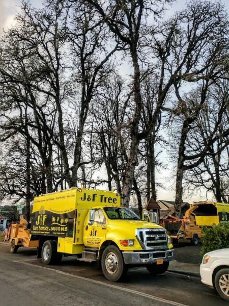 J & F Tree Service Inc