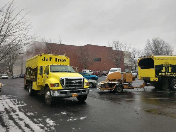 J & F Tree Service Inc