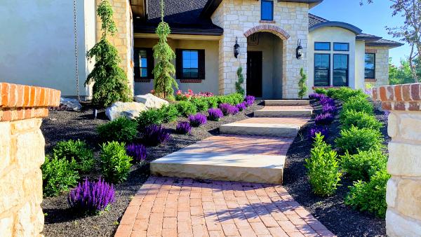 Modern Landscape and Design