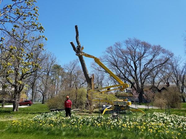 Crawford Tree & Landscape Services