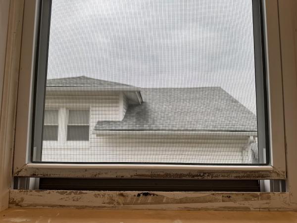 Platinum Cleaning Services