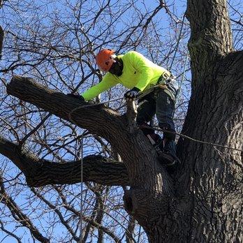 A-a-A Tree Care & Landscaping LLC