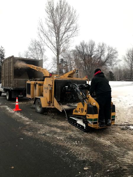 A-a-A Tree Care & Landscaping LLC