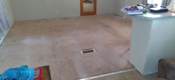 Team Steam Carpet Cleaning