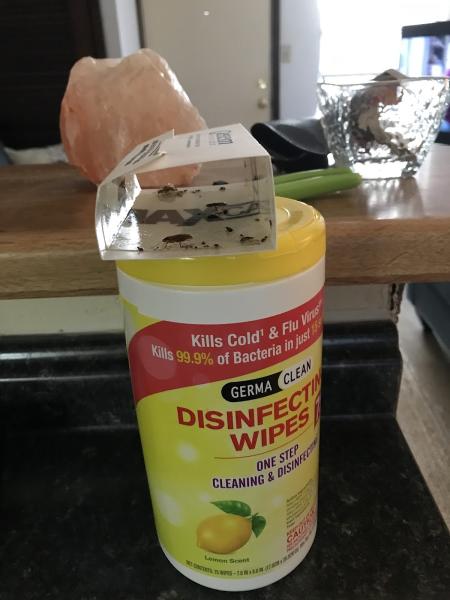 Getem Services