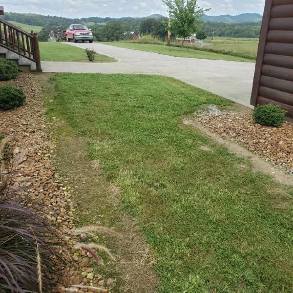 Breedlove Lawn Care