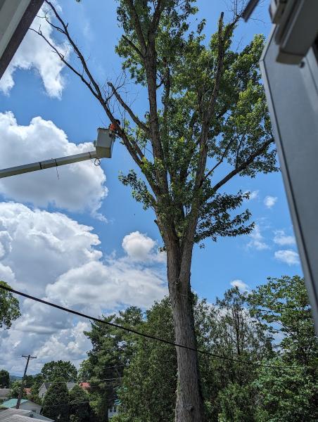 ER Tree Services LLC