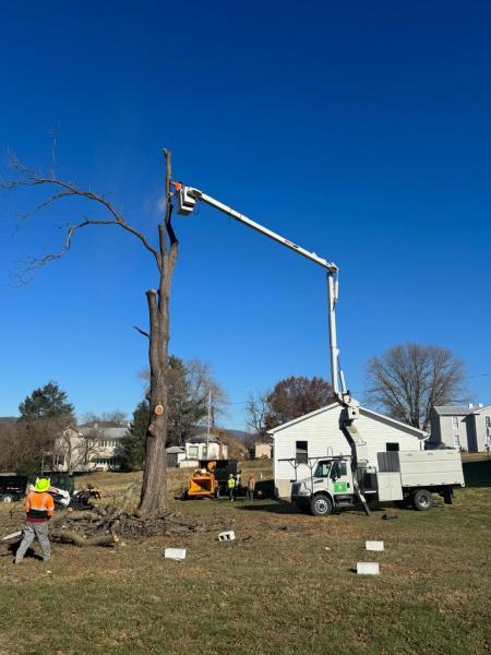 ER Tree Services LLC
