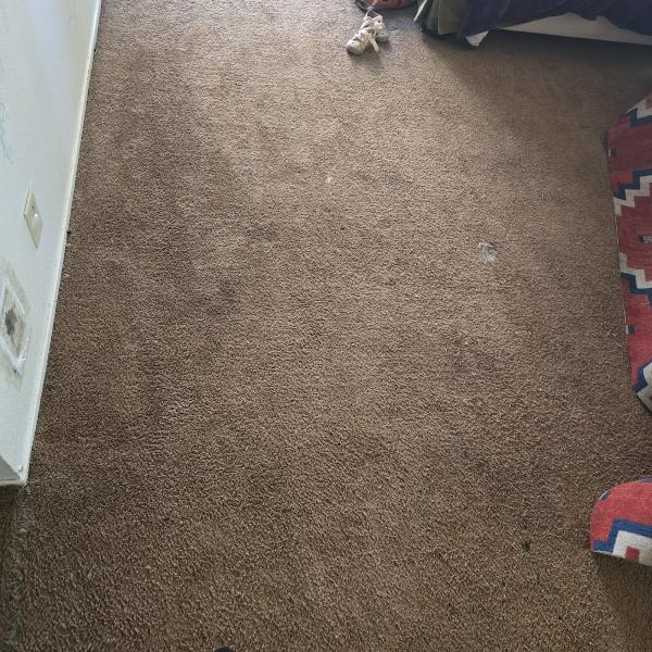 Affordable Carpet Care