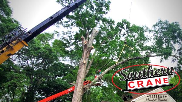 Southern Crane & Mechanical Services