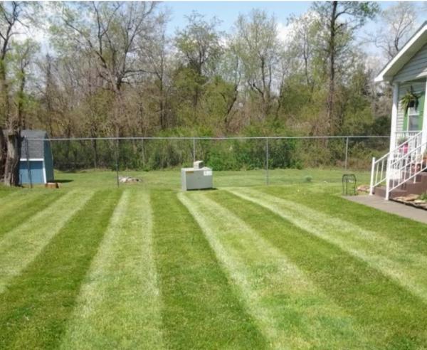Fayette Mowing
