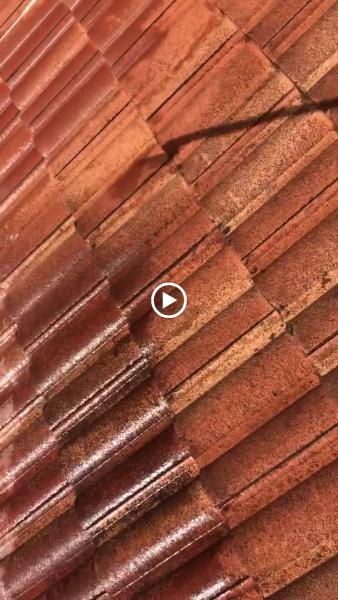 Cole's Painting-Pressure Cleaning