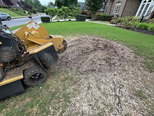 ILS Stump Grinding