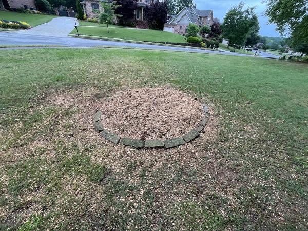 ILS Stump Grinding