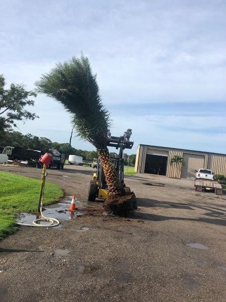Team Green Landscaping & Irrigation