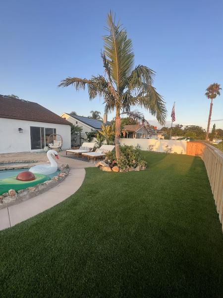 Synthetic Lawn Solutions