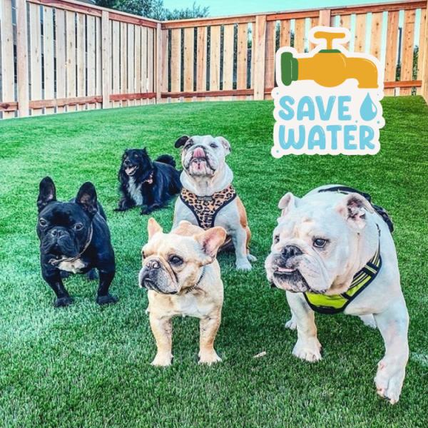 Synthetic Lawn Solutions