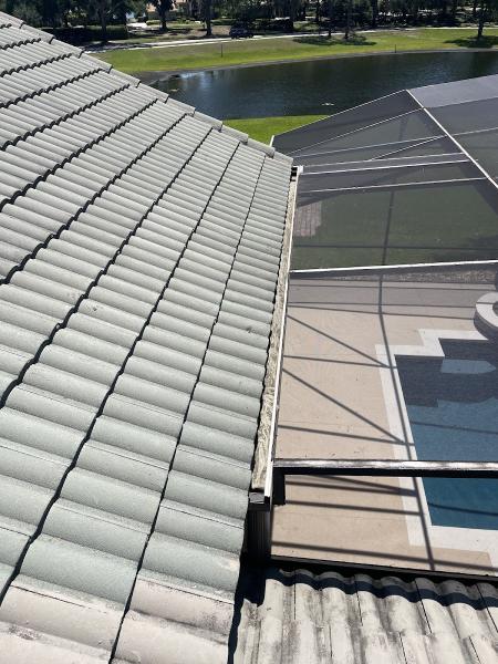 Blue Elephant Pressure Washing and Gutter Cleaning Services