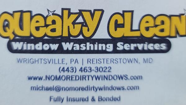 Squeaky Clean Window Washing Svc
