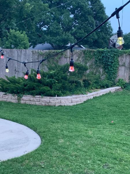 Trinity Tree Trimmers