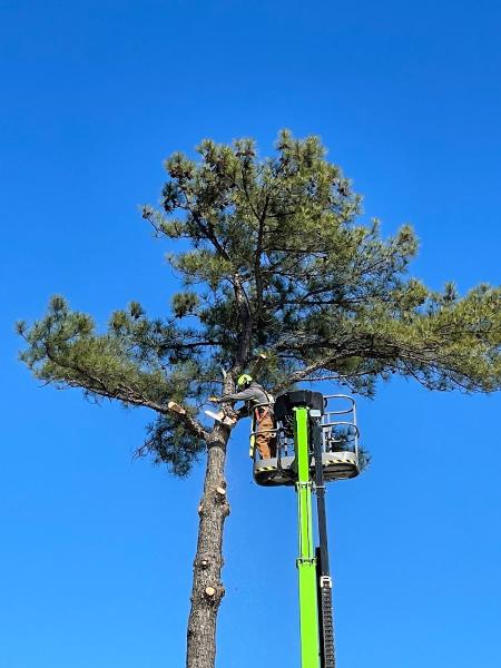 Conner Tree Service