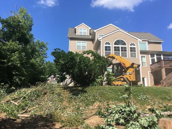 Conner Tree Service