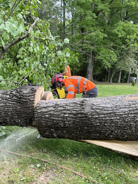 Arborall Tree Service