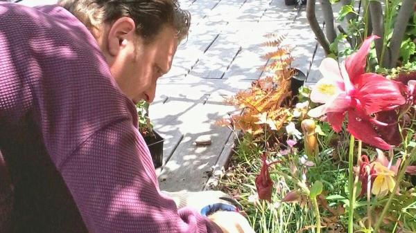 New York Plantings Irrigation & Landscape Lighting NYC