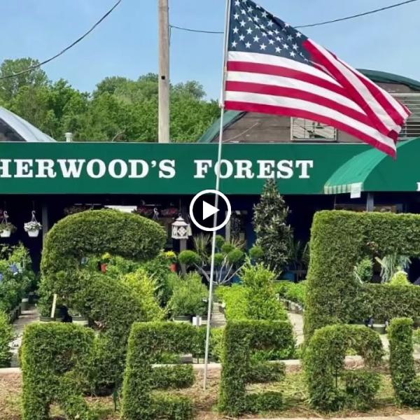 Sherwood's Forest Nursery