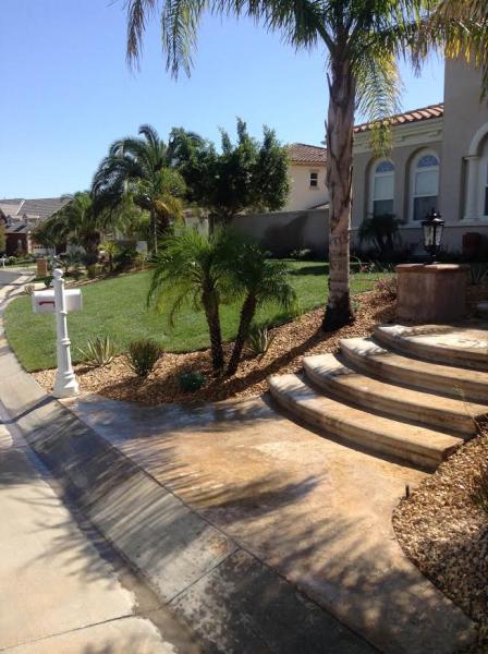 A Sandoval Tree Service