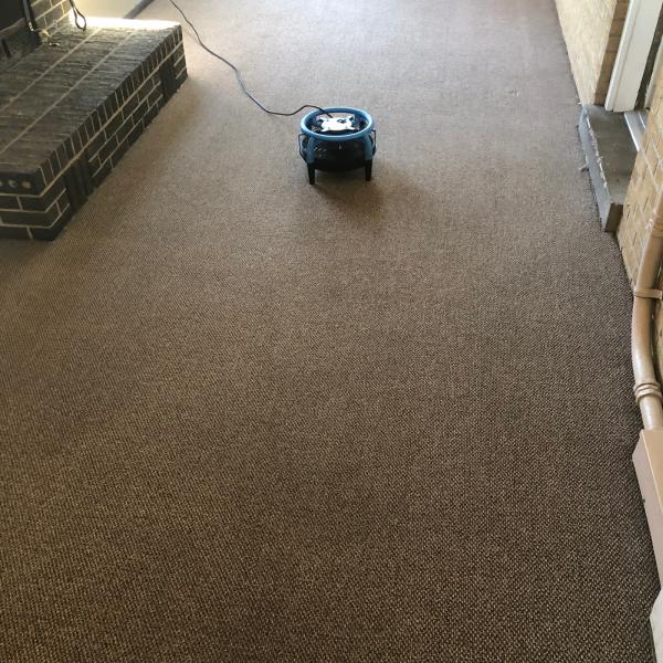 Dream Catcher Carpet Cleaning