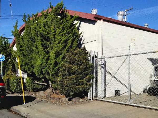 Berkeley Concrete Pumping Inc