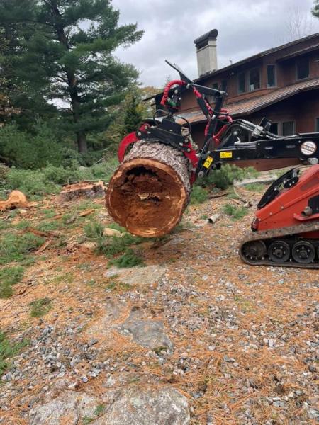 Medina Tree Services