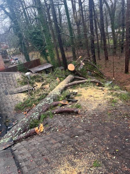 Oak Tree Service