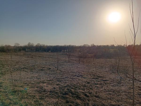 Campion Land Management