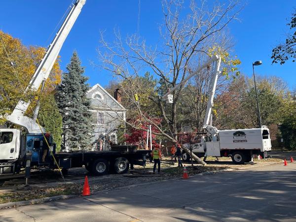 Final Oaks Tree Service Inc.