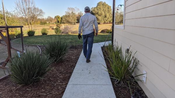 Lantscap Gardening