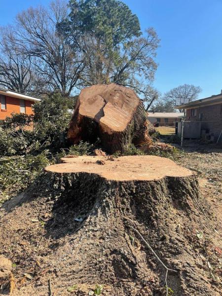 All American Tree Pros LLC