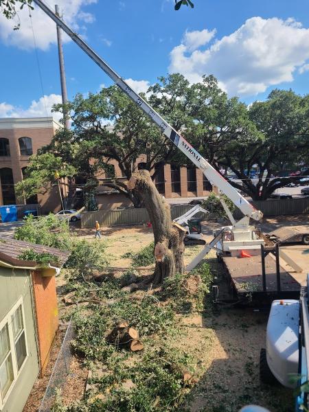 All American Tree Pros LLC