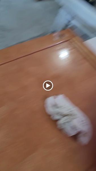 494 Painting Flooring & More