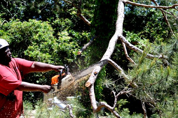 Exclusive Land and Tree Services