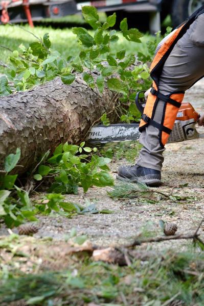 Exclusive Land and Tree Services